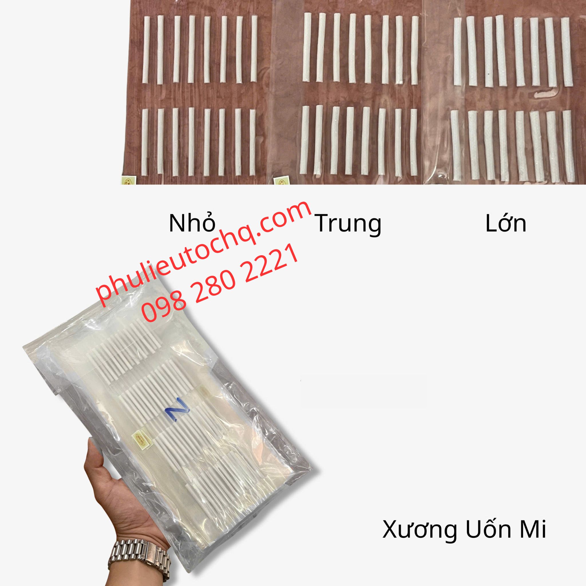 Xương uốn mi 3d